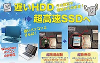 SSDC[W